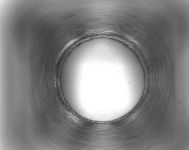 X0000066501306200603170939