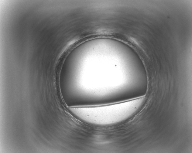 X0000066501307200603170939