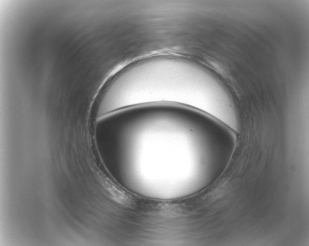 X0000066501308200603170939