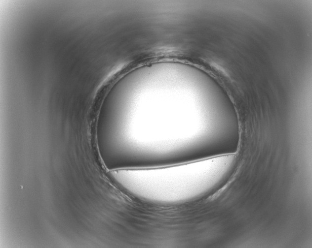 X0000066501309200603170939