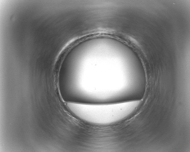 X0000066501310200603170939