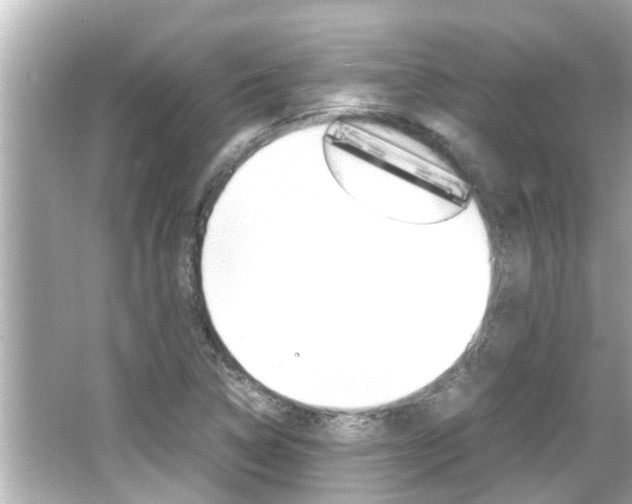 X0000066501314200603170939