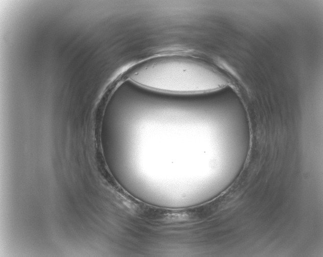X0000066501315200603170939