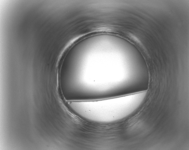 X0000066501323200603170940