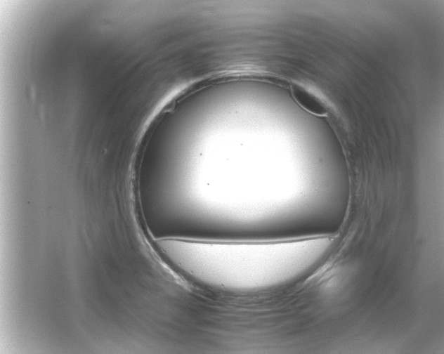 X0000066501325200603170940