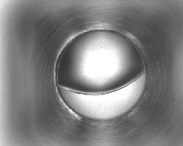 X0000066501334200603170940