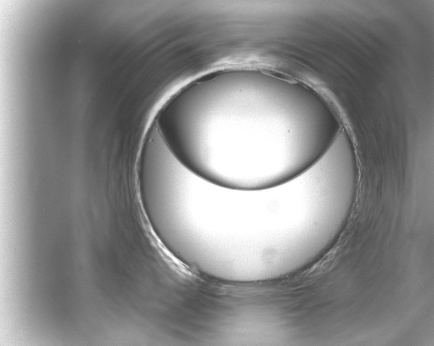 X0000066501344200603170940