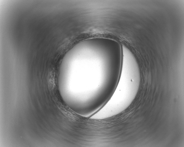 X0000066501348200603170939