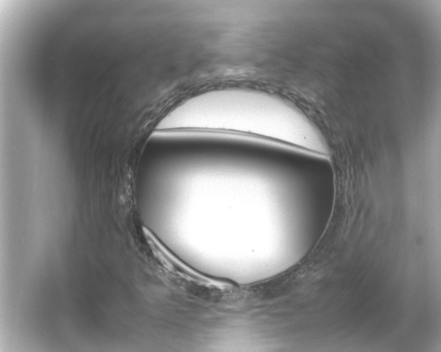 X0000066501349200603170939