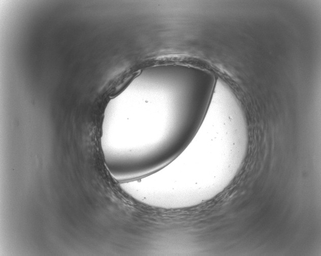X0000066501351200603170939