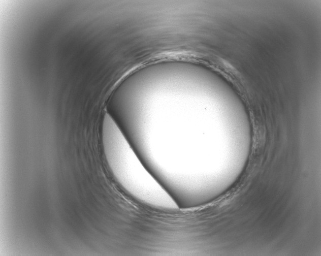 X0000066501361200603170939