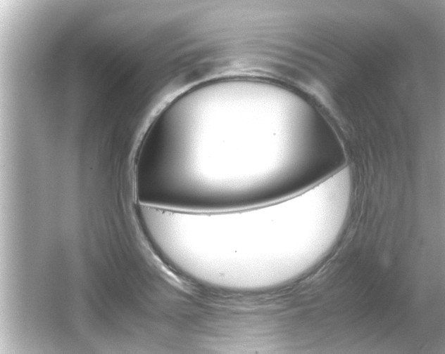 X0000066501371200603170939