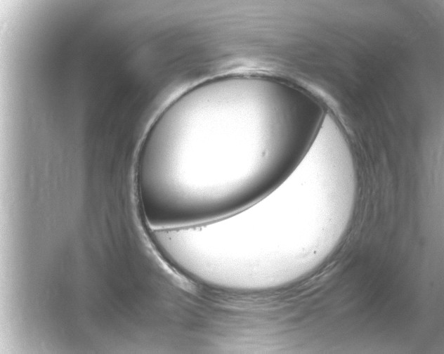 X0000066501375200603170939