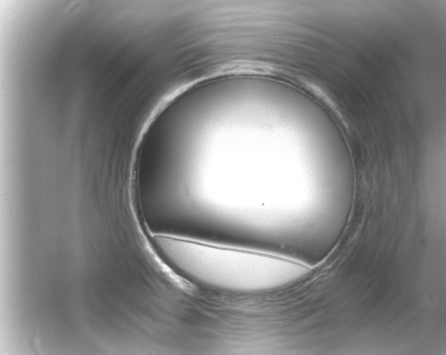 X0000066501379200603170938