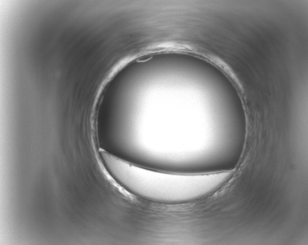 X0000066501381200603170938