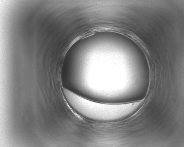 X0000066501385200603170938
