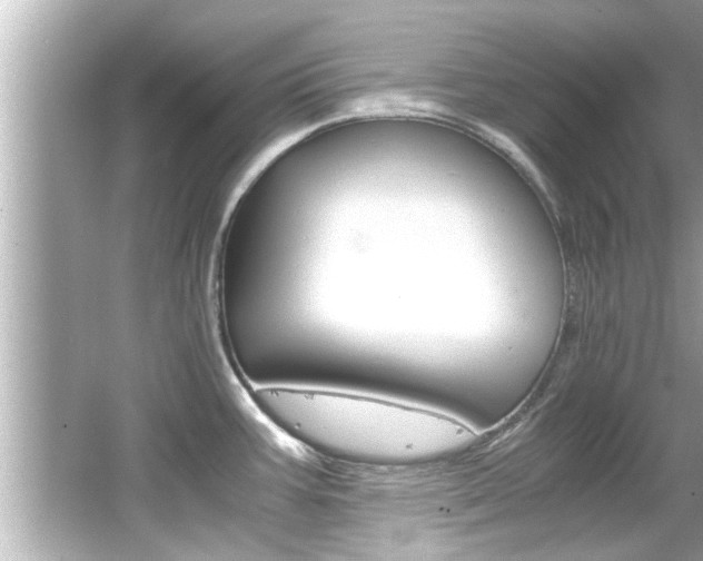 X0000066501387200603170938