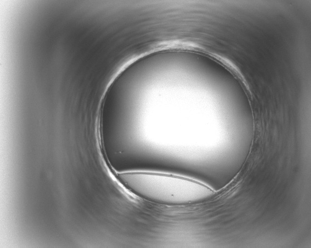 X0000066501391200603170938