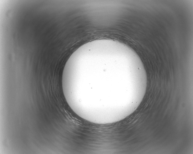 X0000066501394200603170937