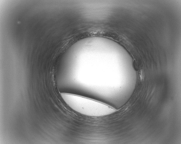 X0000066501396200603170938
