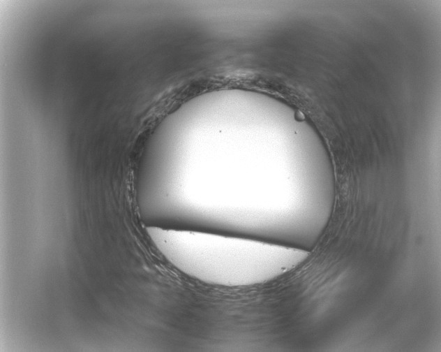 X0000066501397200603170938