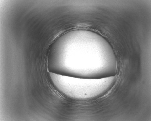 X0000066501401200603170938