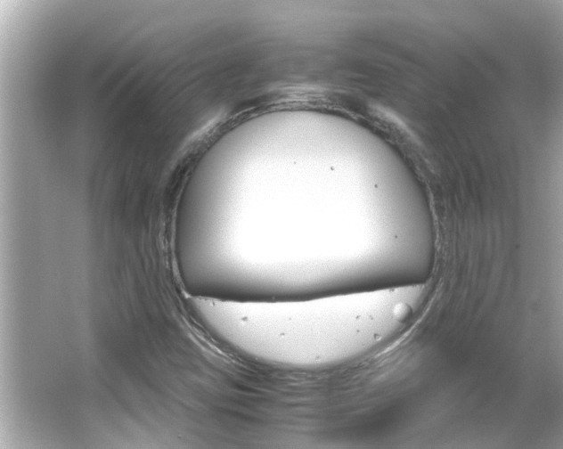 X0000066501403200603170938