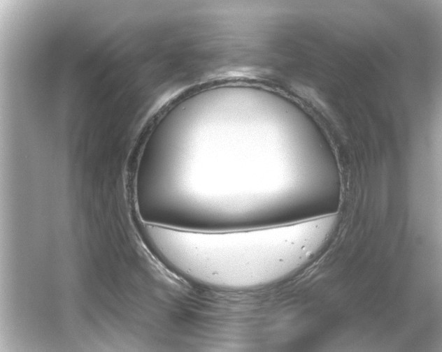 X0000066501404200603170938