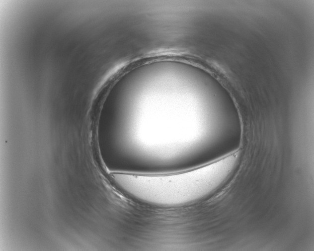 X0000066501406200603170938