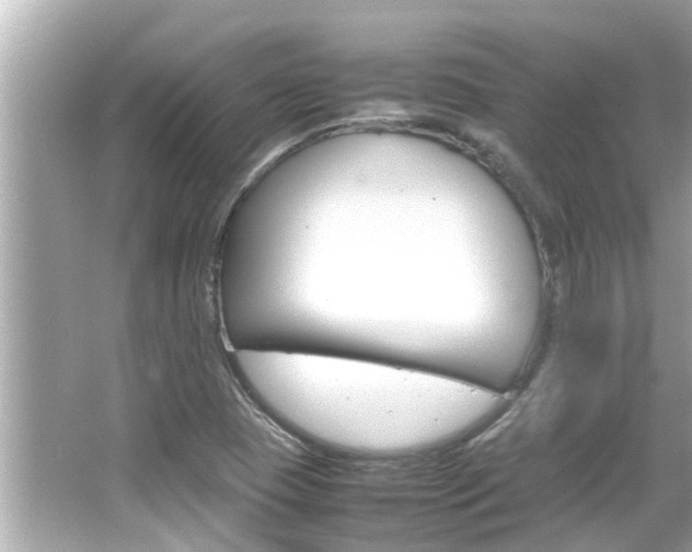 X0000066501409200603170938