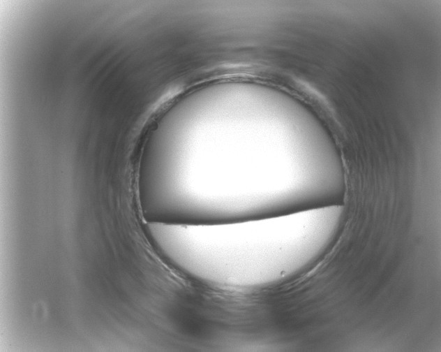 X0000066501411200603170938