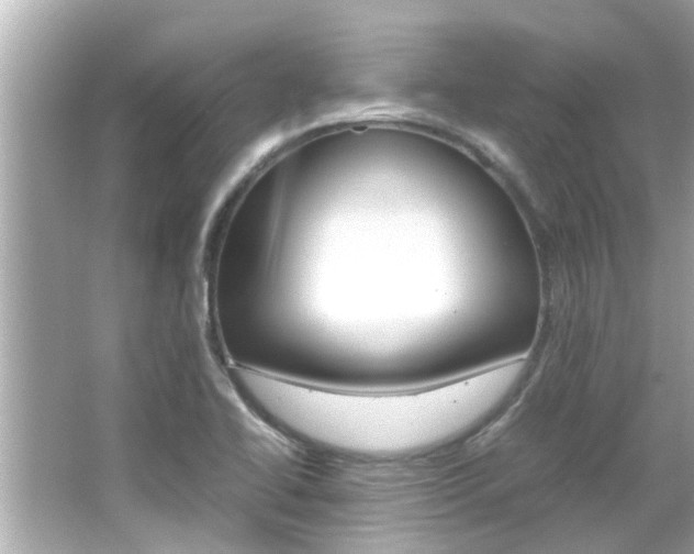 X0000066501414200603170938