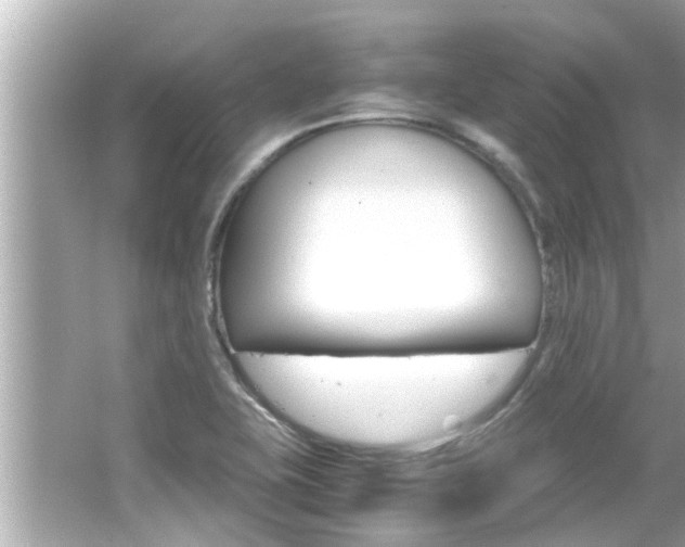 X0000066501415200603170938