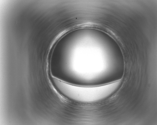 X0000066501418200603170938