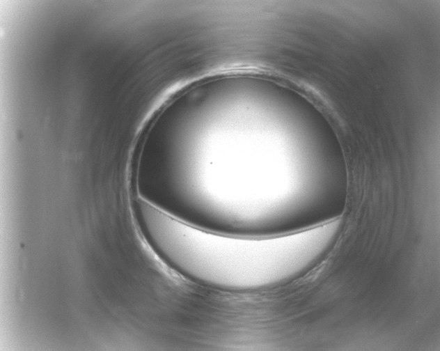 X0000066501422200603170938