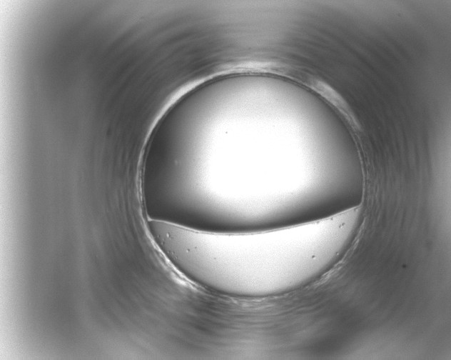 X0000066501436200603170938