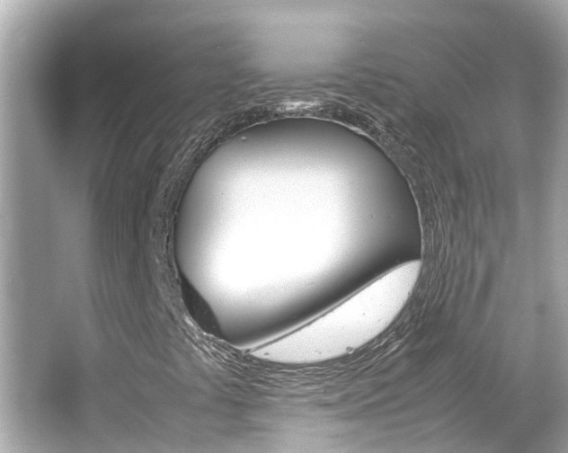 X0000066501441200603170937
