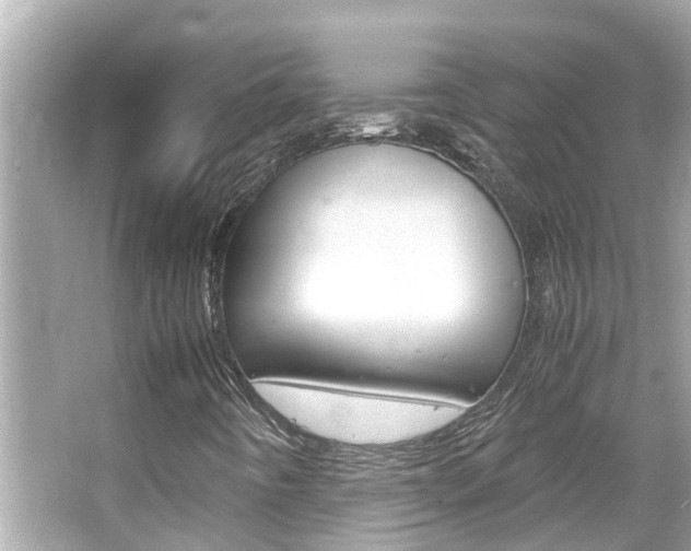 X0000066501442200603170937