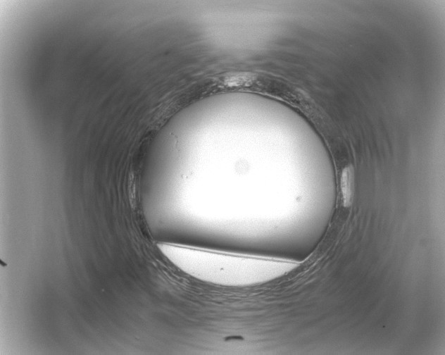 X0000066501443200603170937