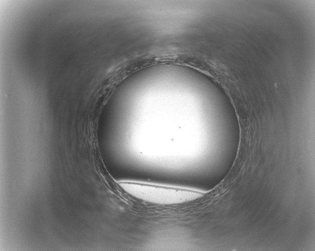 X0000066501445200603170937