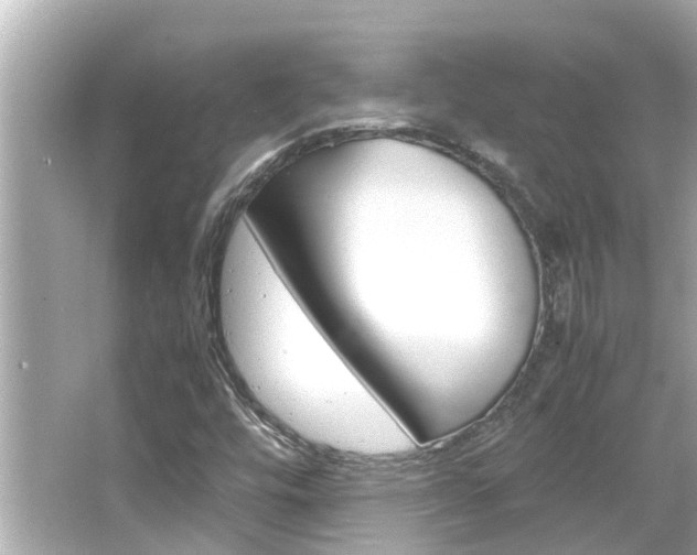 X0000066501448200603170937