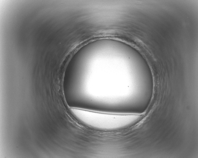 X0000066501449200603170937