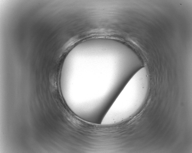X0000066501451200603170937