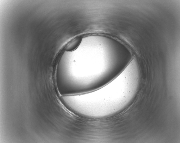 X0000066501452200603170937