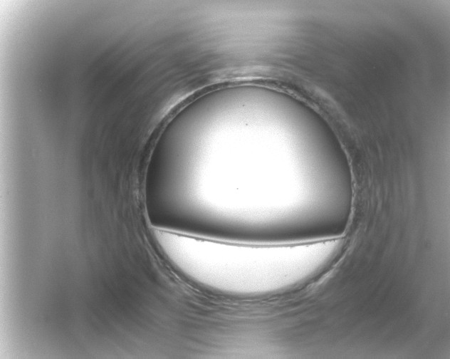X0000066501457200603170937