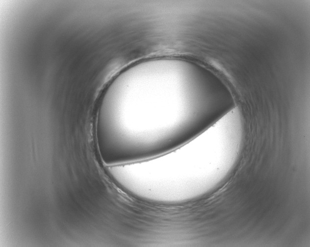 X0000066501459200603170937