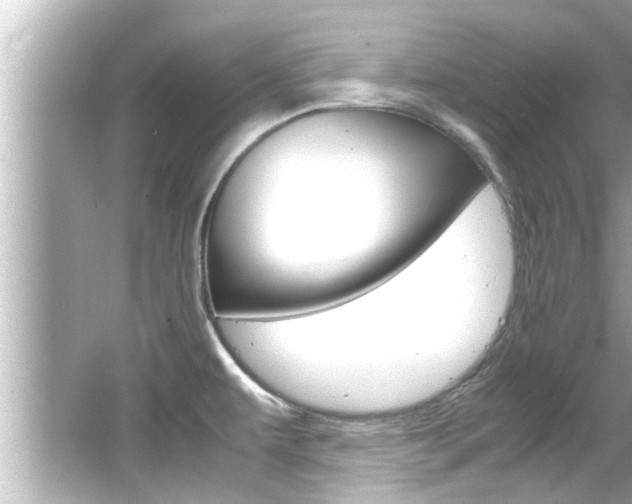 X0000066501479200603170937