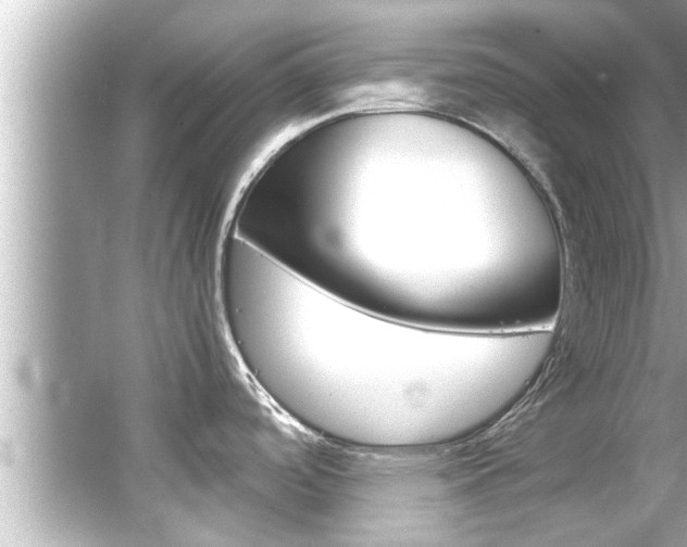 X0000066501488200603170937
