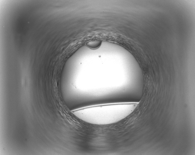 X0000066501489200603170936