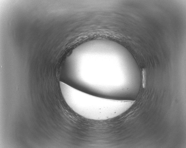 X0000066501491200603170936